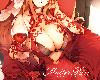 [RG/DYⓂ][ななお] Master Piece [无毒汉化组] [無修正] [DL版][190P/<strong><font color="#D94836">中文</font></strong>/全彩](2P)